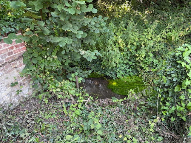 DAOURS  Exclusivité